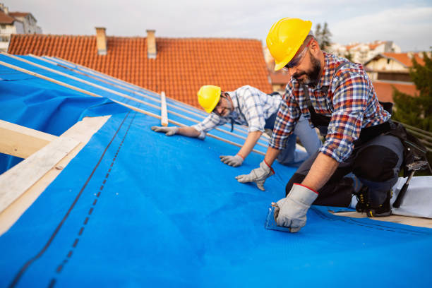 Best Metal Roofing Contractor  in Barnesville, GA