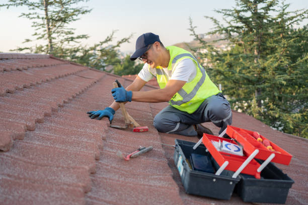 Best Gutter Installation and Roofing  in Barnesville, GA