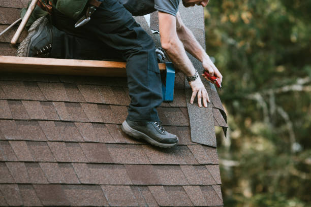Best Roof Maintenance Services  in Barnesville, GA